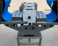 Machine à découper à la viande réglable professionnelle nouvel état filet de poisson et équipement de coupe de Cube de viande de poulet