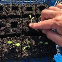 Set Pembuat Blok Tanah Manual 20 Sel dari Baja, Alat Pembuat Blok Tanah Genggam untuk Kebun Rumah dan Peralatan Berkebun