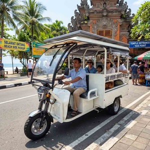 Vehículo Eléctrico Turístico, Triciclo Eléctrico Solar, Rickshaw, Triciclo Eléctrico de 3 Ruedas para Pasajeros Adultos - Product Image 1