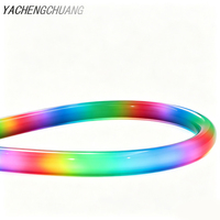 Tube LED néon circulaire flexible en silicone noir 24V D22 360 degrés, RVBIC, couleurs de rêve, pixels adressables, bande lumineuse à diodes