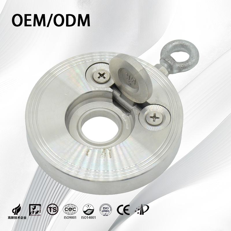 Stainless Steel 304 Non Return Flapper