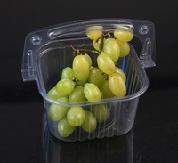 Mesin Thermoforming Otomatis Penuh untuk Wadah Buah Sekali Pakai dari PP PS PET, Mesin Pembuat Produksi Plastik Thermoforming