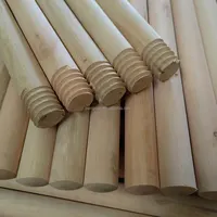 Mode Holz Indien Besen Escobas Reinigung Kunststoff Besen mit Holzstab Besenstiel
