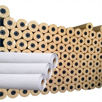 Papier de découpe en gros pour patrons de vêtements, impression de vêtements, dessin CAO, rouleau de 45 g/m², modèle de papier pour marquage informatique