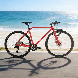 Roues en acier 700C très demandées : Roues en alliage à double paroi 700C E: 700C * 35C, frein à disque noir - Product Image 3