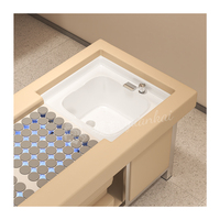 Baignoire Pédiluve Intelligente à Température Constante et Circulation d'Eau, Moxibustion, Lit de Lavage Thaïlandais, Spécial Salon de Beauté, Réglable