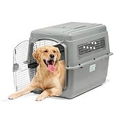 Cage de transport pour chien et chat en plastique avec porte en fil métallique, design aéré, fermeture à loquet durable, poignée supérieure, forme rectangulaire