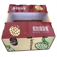 Boîte d'emballage jetable auto-érectrice en carton ondulé pour fruits et légumes, avec logo estampé argenté et impression personnalisée