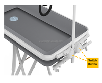 Baignoire et table de toilettage pour animaux de compagnie 2 en 1