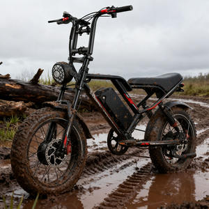 2000 Watt double moteur 20 pouces hybride adulte Low Rider Fat Boy route <span class=keywords><strong>pas</strong></span> <span class=keywords><strong>cher</strong></span> Fixie grand vélo électrique <span class=keywords><strong>45</strong></span> <span class=keywords><strong>km</strong></span> <span class=keywords><strong>h</strong></span> Elektrisches Fahrrad - Product Image 1