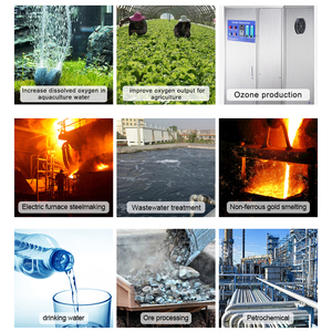 Concentrador de oxígeno portátil PSA 3L 5L 10L Torre de adsorción de tamiz molecular de zeolita - Product Image 2