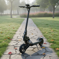 Trottinette électrique adulte 48V 800W double moteur 10 pouces pliable étanche en alliage d'aluminium batterie lithium 45 km/h mini capteur d'application