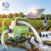 Pompe à eau solaire de surface AC/DC 110V 1500W, système de pompage d'irrigation solaire 2HP, solutions d'énergie solaire