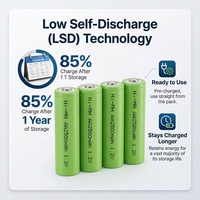 Sel Baterai Akku NiMH 1.2V AA 2500mAh 2200mAh 2000mAh Baterai Isi Ulang Ni-MH Low Self-Discharge Button Top Cell untuk Mainan