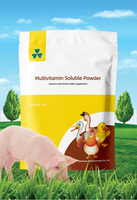Concentré d'aliments pour porcs de haute qualité pour l'alimentation porcine, prémélange pour l'alimentation des porcs, destiné au marché africain de Tanzanie