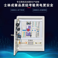 Armoire de distribution industrielle murale en acier inoxydable étanche personnalisée pour contrôleurs PLC/PAC, boîtier de distribution triphasé