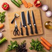 Ensemble de 5 couteaux de chef multifonctionnels écologiques en acier inoxydable avec manches en plastique, comprenant un éplucheur, des ciseaux et un couteau, idéal pour un cadeau