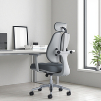 Chaise de bureau exécutive ergonomique moderne en maille confortable, nouveau design, accoudoirs réglables, gris, garantie 5 ans pour de longues heures de travail
