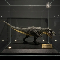 Modèle de jouet en plastique solide écologique certifié CE, 14 pouces, peint à la main, haute simulation, Tyrannosaurus Rex de chasse, pour enfants