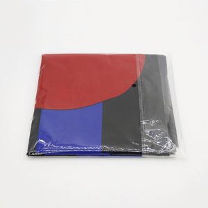 Pride 3x5 ft Pennant <b>Flag</b> for Wall Decoration College Dorm Bedroom Living Room Accessory Stylish Display Accessory - Product Image 5