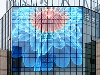 Écran LED transparent RMG P3.91/7.81 pour vitrine, intérieur/extérieur, pour les magasins et les bars en face de la rue