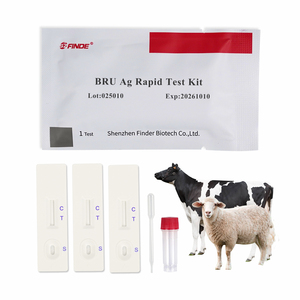 Kit de <span class=keywords><strong>test</strong></span> rapide antigène Brucella (Bru Ag) | pour la détection de la brucellose bovine et ovine bandelettes de <span class=keywords><strong>test</strong></span> vétérinaire - Product Image 1