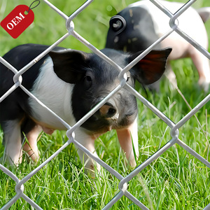 Top bán rắn an ninh dây lưới căng dây Chuỗi liên kết vườn thú hàng rào cho sở thú - Product Image 2