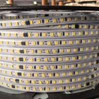 Bande lumineuse LED extérieure 100 mètres, AC 220V, 2835, 120 LED/m, 10 mm, 10 cm/coupe, IP67, étanche, 3000k, 4000k, 6500k, blanche