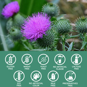 Acentiallabs Milk Thistle <span class=keywords><strong>L</strong></span>íquido Gotas Fígado Detox Promove a Saúde do Fígado Suporte Antioxidante Limpeza e Detox do Fígado - Product Image 6