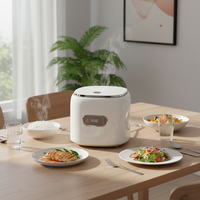 Cuisinière à riz électrique intelligente minimaliste moderne avec contrôle tactile numérique, multifonctionnelle pour les petites familles et les dortoirs