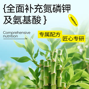 Solution nutritive liquide pour plantes de jardinage pour débutants, pour des feuilles vertes éclatantes et une plantation luxuriante - Product Image 3