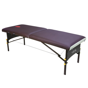 Cama de Masaje <span class=keywords><strong>GESS</strong></span> GESS3506 de Alta Calidad, Superventas 2025, Control Remoto Inalámbrico, PU Portátil, Plegable, para Salón de Belleza Facial - Product Image 1