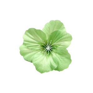 Flor Artificial de Magnolia Impresa de 8cm, Flor de Seda para Decoración de Bodas y Hogar - Product Image 5
