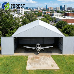 Hangar de Acero para Aviones de Alta Resistencia, Fabricado en China, Estructura de Acero Galvanizado para Almacenamiento de Aviones con Servicio de Diseño - Product Image 1