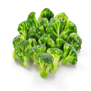 2024 nouveau brocoli congelé IQF frais de qualité récolte coupe les légumes surgelés