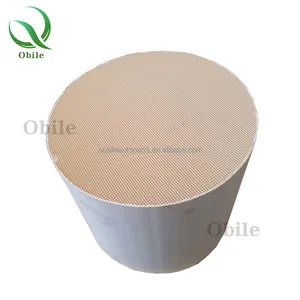 中国热销通用催化剂适用于106*100欧元1欧元6 oem陶瓷