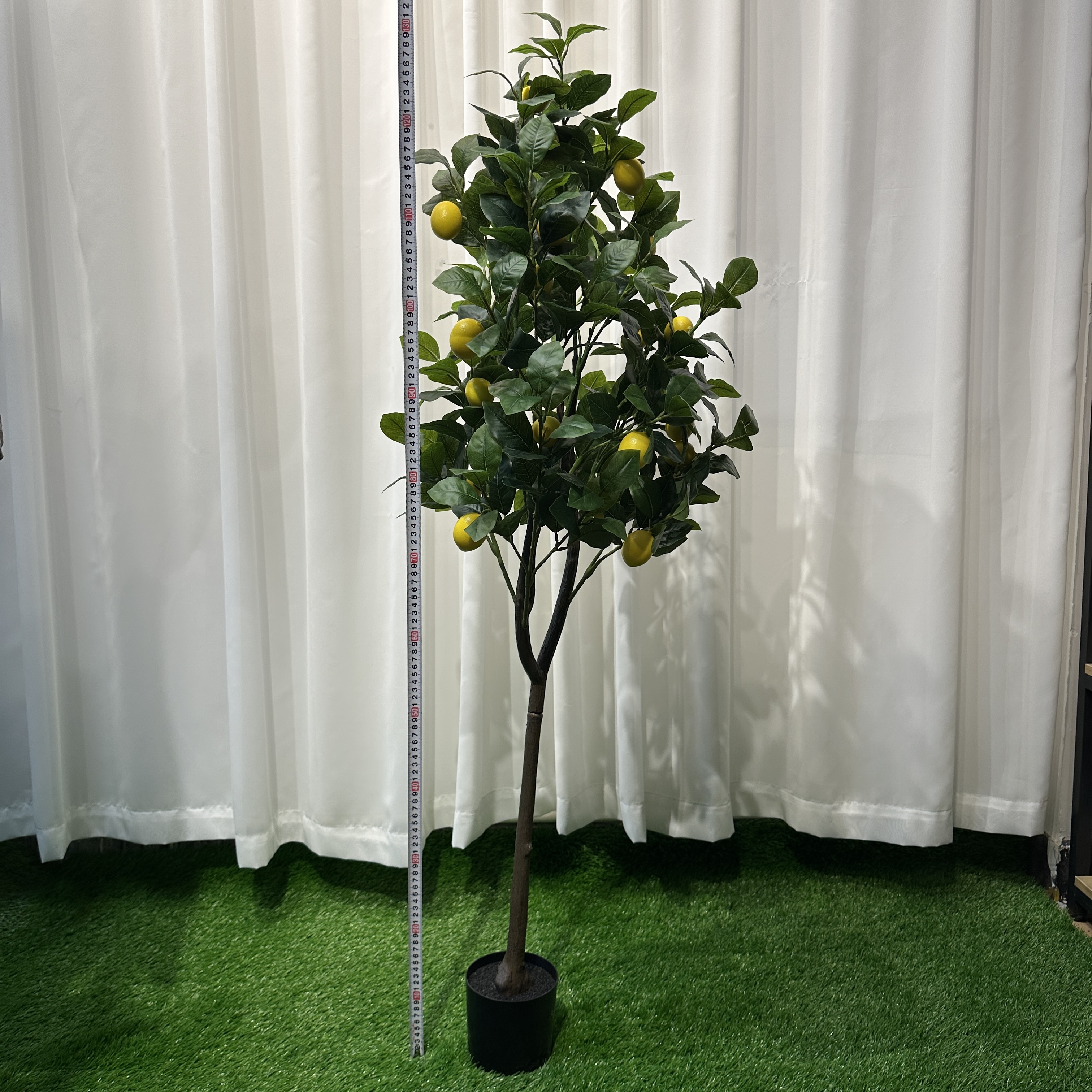 130cm