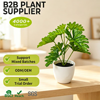 Tanaman Philodendron Mini Daun Terbelah Buatan dalam Pot Penuh 20cm Tanaman Hijau Palsu Kecil untuk Meja Kantor