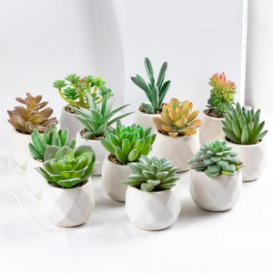 Décoration de maison plantes succulentes artificielles meubles de bureau accessoires de maison décoration de <span class=keywords><strong>jardin</strong></span> vase en céramique plantes succulentes <span class=keywords><strong>cadeau</strong></span> - Product Image 1