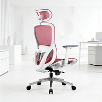 Chaise de bureau exécutive hautement réglable, chaise de bureau en maille avec coussin lombaire en mousse à mémoire de forme 2D, chaise de bureau pivotante ergonomique