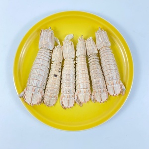 Aliments pour animaux de compagnie marins déshydratés de qualité export, sans additifs ni conservateurs, saveur savoureuse, crevettes-mantis lyophilisées - Product Image 6