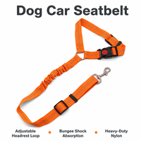 Laisse rétractable pour chien Pet Glow, réfléchissante pour la marche nocturne, pour chiens de petite, moyenne et grande taille, sécurité en extérieur