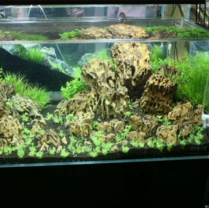 <span class=keywords><strong>Aquarium</strong></span> Landschapsarchitectuur Fijne Dennenhuid Steen Voor <span class=keywords><strong>Aquarium</strong></span> Landschapsarchitectuur - Product Image 3