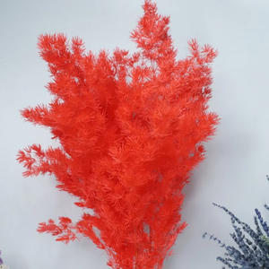 Bouquet de fleurs romantiques au toucher réel, Asparagus Myrioeladus Ming Fern préservé, éternel, DIY, Pampas, tiges en gros - Product Image 5