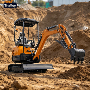 Mini Escavatore Cingolato da 2 Tonnellate Certificato CE con Braccio Esteso per Progetti in Vigneto - Product Image 1