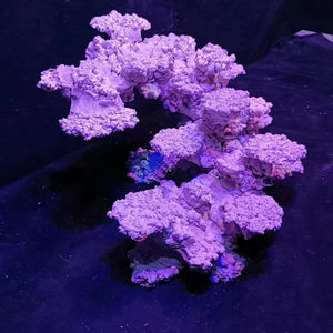 Custom Made 60Cm Aquarium Aquarium Decoratie Aquascaping Stone <span class=keywords><strong>Rock</strong></span> Voor Verkoop - Product Image 4