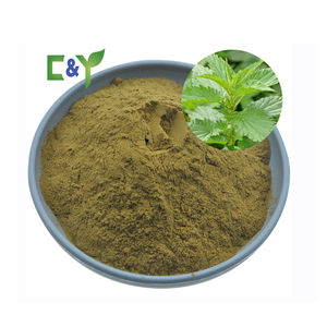 Hot bán số lượng lớn tinh khiết Natura cây tầm ma lá cây tầm ma chiết xuất châm chích cây tầm ma - Product Image 1