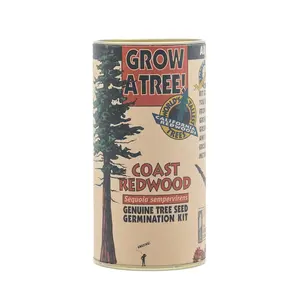 Mais populares Coast Redwood plalnting potes de jardim akadama bonsai solo potes bonsai cerâmica bonsai baum