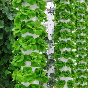 Tour de culture verticale pour légumes, système hydroponique vertical pour la culture de carottes - Product Image 5