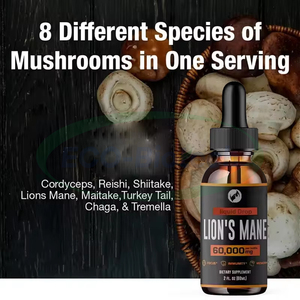 サプリメント マッシュルームエキス液状ノオトロピック 免疫システム 脳機能向上 ライオンのたてがみ茸液状植物エキス - Product Image 2